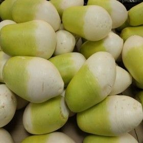 상품 이미지: (우주초특가) 제주산 월동무 10kg 가정용