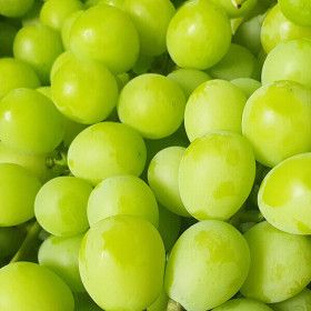 상품 이미지: 청포도 오톰크리스피 씨없는 프리미엄 애플청포도 800g