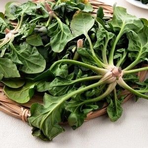 상품 이미지: 신선하고 맛있는 국내산 제철 시금치 2kg 기간한정 초특가행사