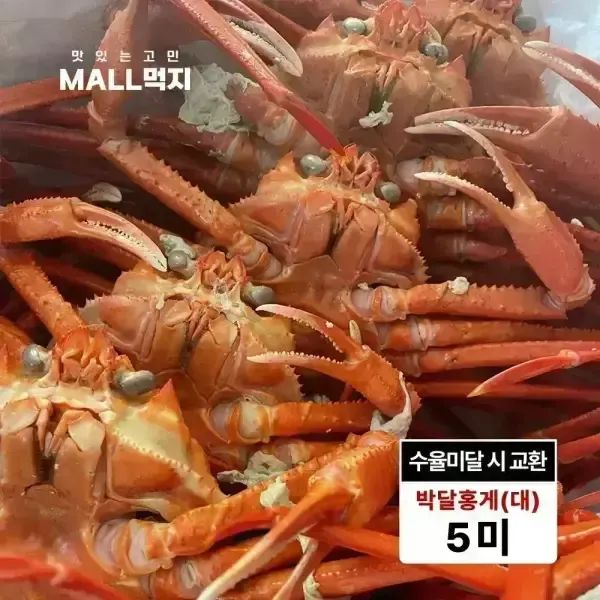 상품 이미지: [수율미달시 교환가능]제철 봄 깊은바다 울릉도 독도 붉은대게 속초 최상급 박달홍게 대 2kg (5미)