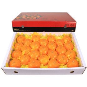 상품 이미지: 제주 천혜향(대) 5kg(24~27과)