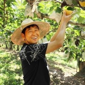 상품 이미지: 햇 나주배 산지직송 한정특가 (가정용)나주배 15kg 대과 20-25과