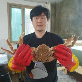상품 이미지: 수율90%내외 자숙 박달형홍게2KG(5~7마리) 특가