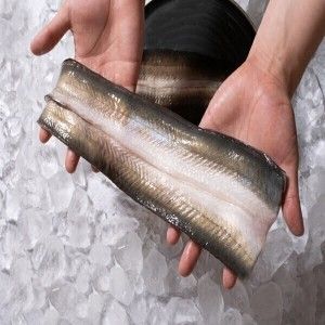 상품 이미지: (신선집중) 국내산 풍천 자포니카 민물장어 1kg 특대왕 2미 고정 (주문즉시 손질 후 600g 이상 초생강 소스)