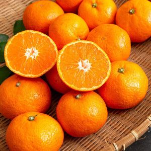 상품 이미지: 감귤나라 비가림 10KG 중대과(L-2L) / 맛없으면 환불보장