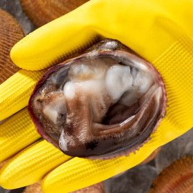 상품 이미지: 통통한 국내산 손질 새조개 특품 200g / 산지직송 무료배송