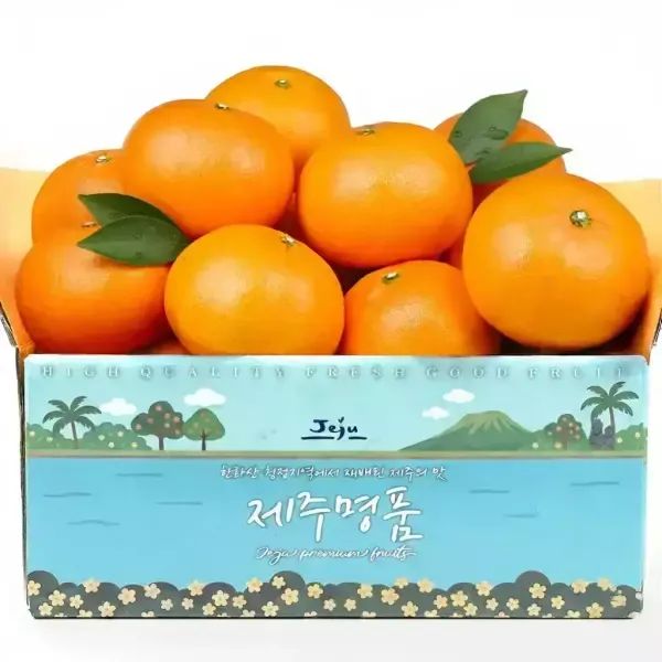 상품 이미지: [당도선별] 제주 천혜향 2kg 로얄과(7-11과) / 2박스 구매시 4.5kg 발송