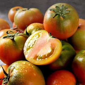 상품 이미지: 프레쉬서비스 26년 대저 토마토 일반(2L-L) 2.5kg