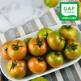 상품 이미지: (롯데백화점)당일수확 부산 짭짤이 대저토마토 2.5kg (S-2S)