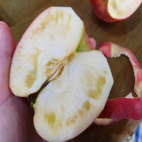 상품 이미지: 청송꿀사과 가정용 못난이 9kg(크기혼합과)햇 부사