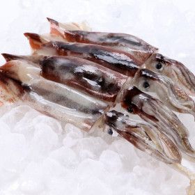 상품 이미지: (신선집중) 냉동 오징어 3kg 1박스 9-11미