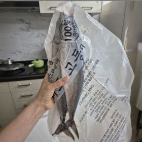 상품 이미지: (신선집중) 국내산 부산 손질 자반 고등어 특대  2마리 진공포장 37cm 이상 / 3세트 주문시 1세트 증정