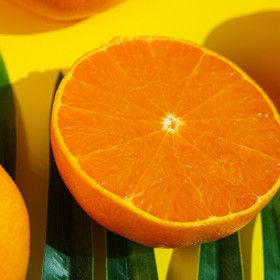 상품 이미지: (신선집중) 제주 13brix당도선별 천혜향 가정용 중소과 2kg(11-15과)