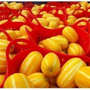 상품 이미지: 당도선별 가정용 성주참외 5kg 소과 실중량