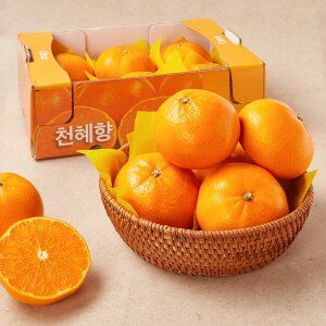 상품 이미지: 서귀포 천혜향 1.8kg 박스