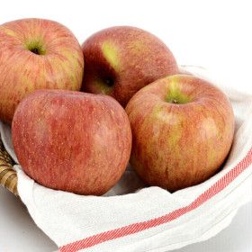 상품 이미지: 경북 사과 10kg 경북사과 가정용(랜덤/주스용 아님) 흠조금/품종랜덤