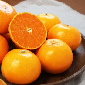 상품 이미지: 호태아빠의 맛보장 GAP인증 제주 천혜향 가정용 5.5kg이상 과일 실중량 당일출고