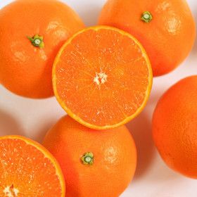 상품 이미지: (신선집중) 제주직송 천혜향 실속형 4.5kg 혼합과 못난이