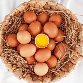 상품 이미지: (현대Hmall)전라도 청년 무항생제 난각번호 1번 자연방사 유정란 40구