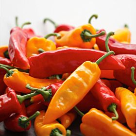 상품 이미지: 김제 오아로 고당도 트리벨리 파프리카 1.5kg