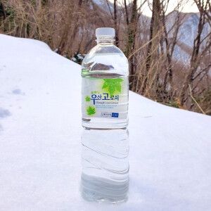 상품 이미지: 울릉도 고로쇠물 1.5리터 12병 고로쇠수액 특산품  호박엿/부지갱이건나물 사은품 증정