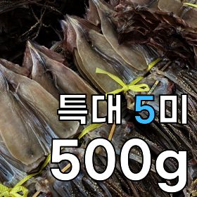 상품 이미지: 동해출신 건오징어(특대) 5미 500g 돈 값하는 약속의 오징어