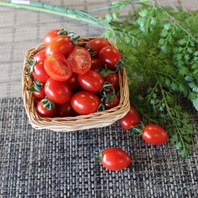 상품 이미지: 대추방울토마토(특) 5kg (1~2번과)대과 1박스 자연대