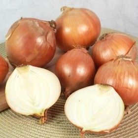 상품 이미지: 국내산 단단한 무안 햇 양파 : 특 10kg