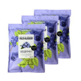 상품 이미지: 웰루츠 냉동 블루베리 3kg
