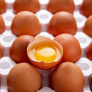 상품 이미지: (신선집중) 유정란 40구/난각번호 1번/무항생제 인증