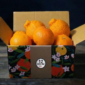 상품 이미지: (신선집중) 가정용 못난이 못난이 만감류 3종 골라담기(레드향 천혜향 한라봉) 4kg 혼합과