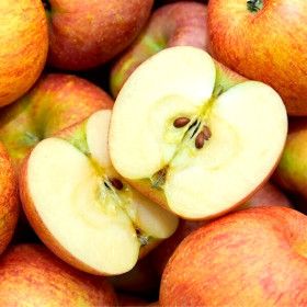 상품 이미지: 투푸릇 청송 부사사과 5kg 가정용 로얄과