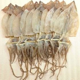 상품 이미지: 동해안 건오징어 10마리 400g 원양산  동해안 건조