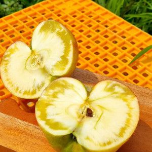 상품 이미지: 청송 홈골농원 흠집 가정용 사과 크기 혼합 10kg