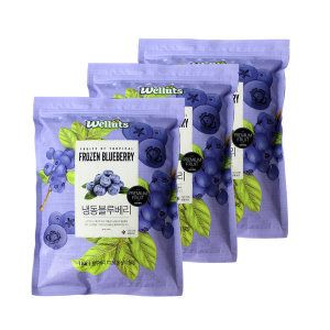 상품 이미지: 웰루츠 냉동 블루베리 3kg