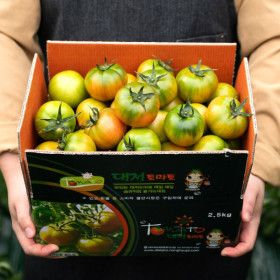 상품 이미지: 부산 대저 산지직송 단짠토마토 대저 토마토 주스용 혼합 / (3S~L) 2.5kg