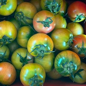 상품 이미지: (신선집중) 부산 대저토마토 2.5kg  / S과 (로얄사이즈)