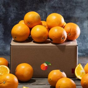 상품 이미지: 고당도 당도선별 오렌지 대과 2.4kg 10과
