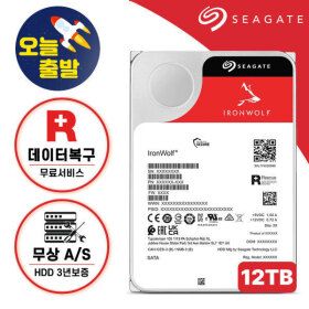 상품 이미지: Ironwolf 나스 하드디스크 12TB NAS HDD 아이언울프 ST12000VN0008