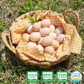 상품 이미지: 국민란 국민백봉오골계란 100% 유기농 대한민국 1호 농장 자연방사 유정란 백봉오골계 친환경 달걀 40알