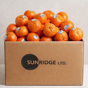 상품 이미지: (신선집중) 직수입 고당도 만다린 귤 2kg (20과~31과)