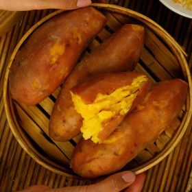 상품 이미지: (신선집중) 전북 익산 황토 고구마 꿀고구마 호박고구마 5kg(특상중혼합)