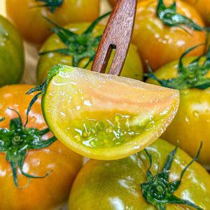 상품 이미지: 단짠단짠 가정용 로얄 대저 토마토 2.5kg(랜덤과/대저)