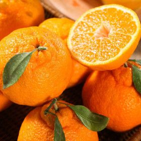 상품 이미지: 제주 3대농가 못난이 한라봉 혼합과 5kg