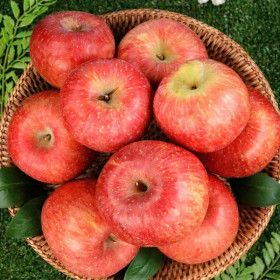 상품 이미지: (신선집중) 달콤아삭 가정용 부사 사과 햇부사 꿀사과 8kg 소과 (42~58과 내외)