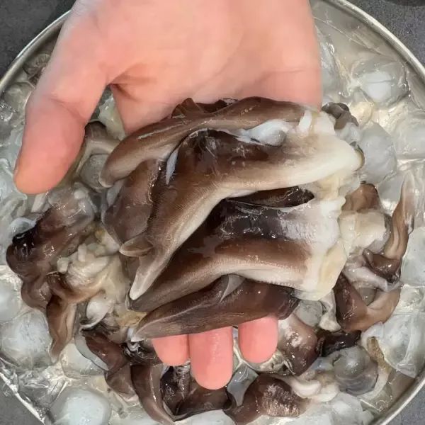 상품 이미지: [품질보장] 국내산 제철 자연산 쫄깃한 새조개살 200g 산지 새조개 샤브샤브