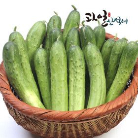 상품 이미지: (신선집중) 산적네 백다다기 오이  4kg /  18~24개