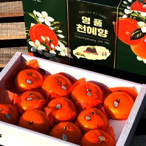 상품 이미지: 고당도 제주 천혜향 가정용 선물용