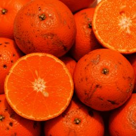 상품 이미지: (시즌오프 50박스 초특가) 제주 카라향 가정용 맛난이 못난이 당도선별 달콤새콤 5kg