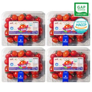 상품 이미지: (신선집중) 스테비아 대추방울 토망고 2kg (500g 4팩)